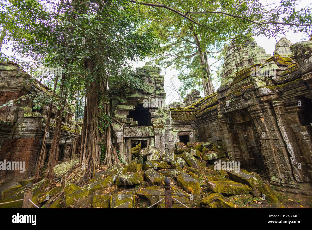 Alte Steinmauern und Baumwurzeln, Ta Prohm Tempelruinen, Angkor, Kambodscha Stockfoto