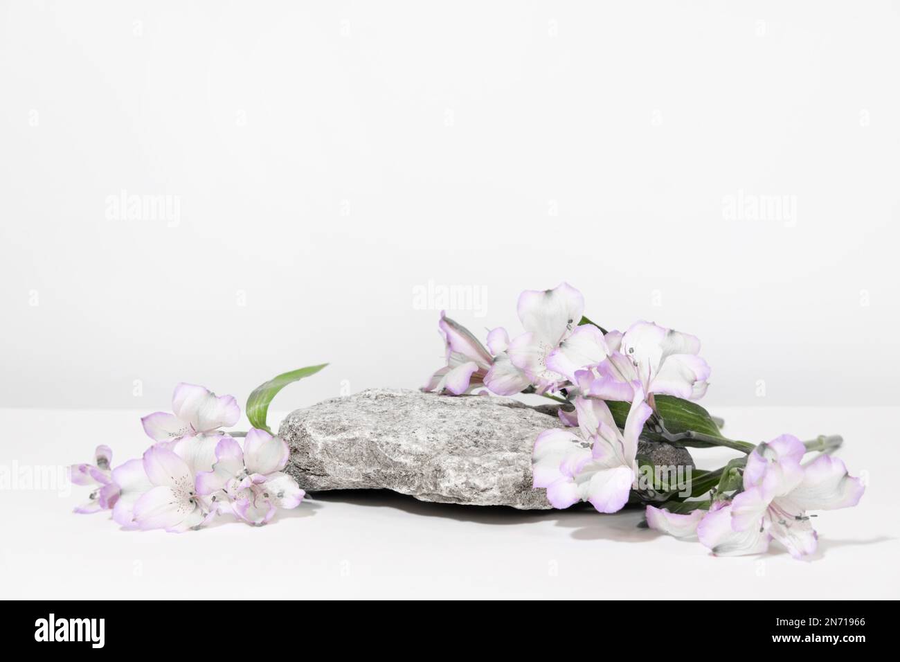 Betonsteinpodium auf weißgrauem Hintergrund mit harten Schatten und Pflanzen, Blumen. Minimale leere Präsentationsszene für kosmetische Produkte. Geometrisches Bild Stockfoto