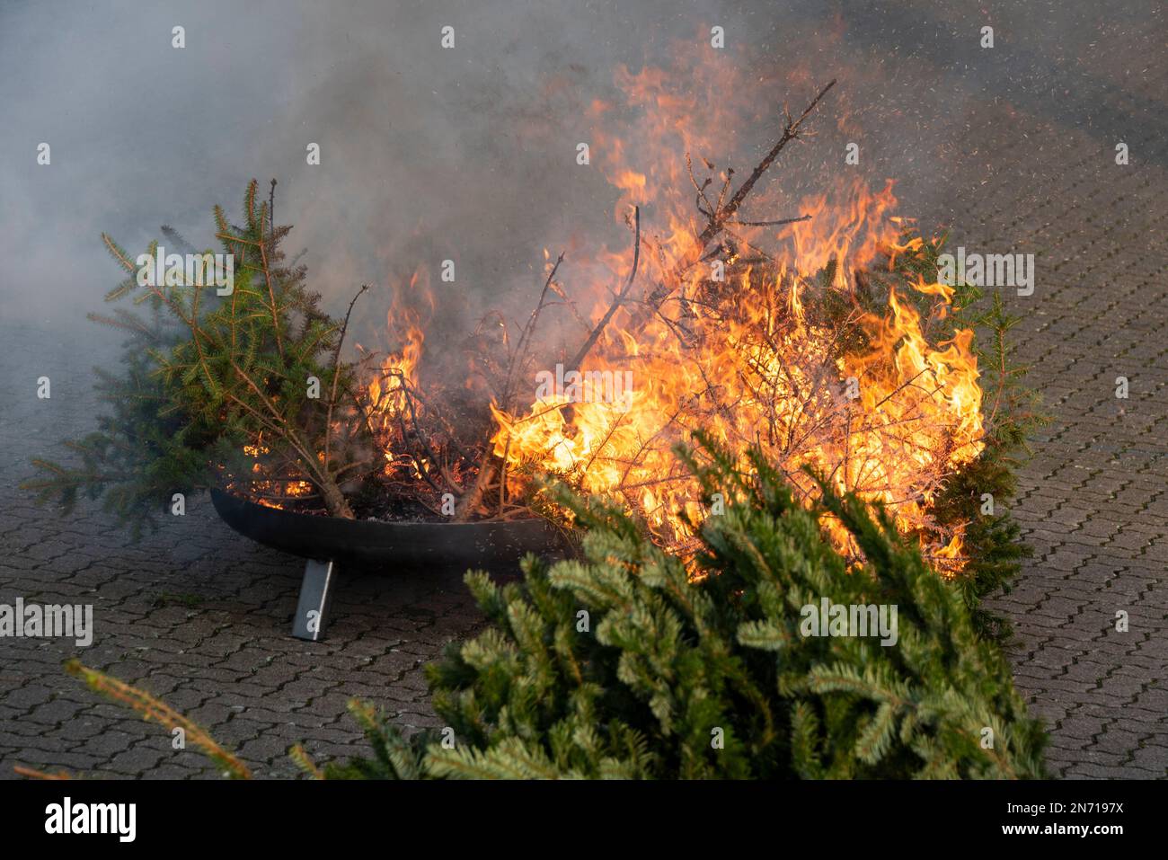 Brennende Weihnachtsbäume Stockfoto