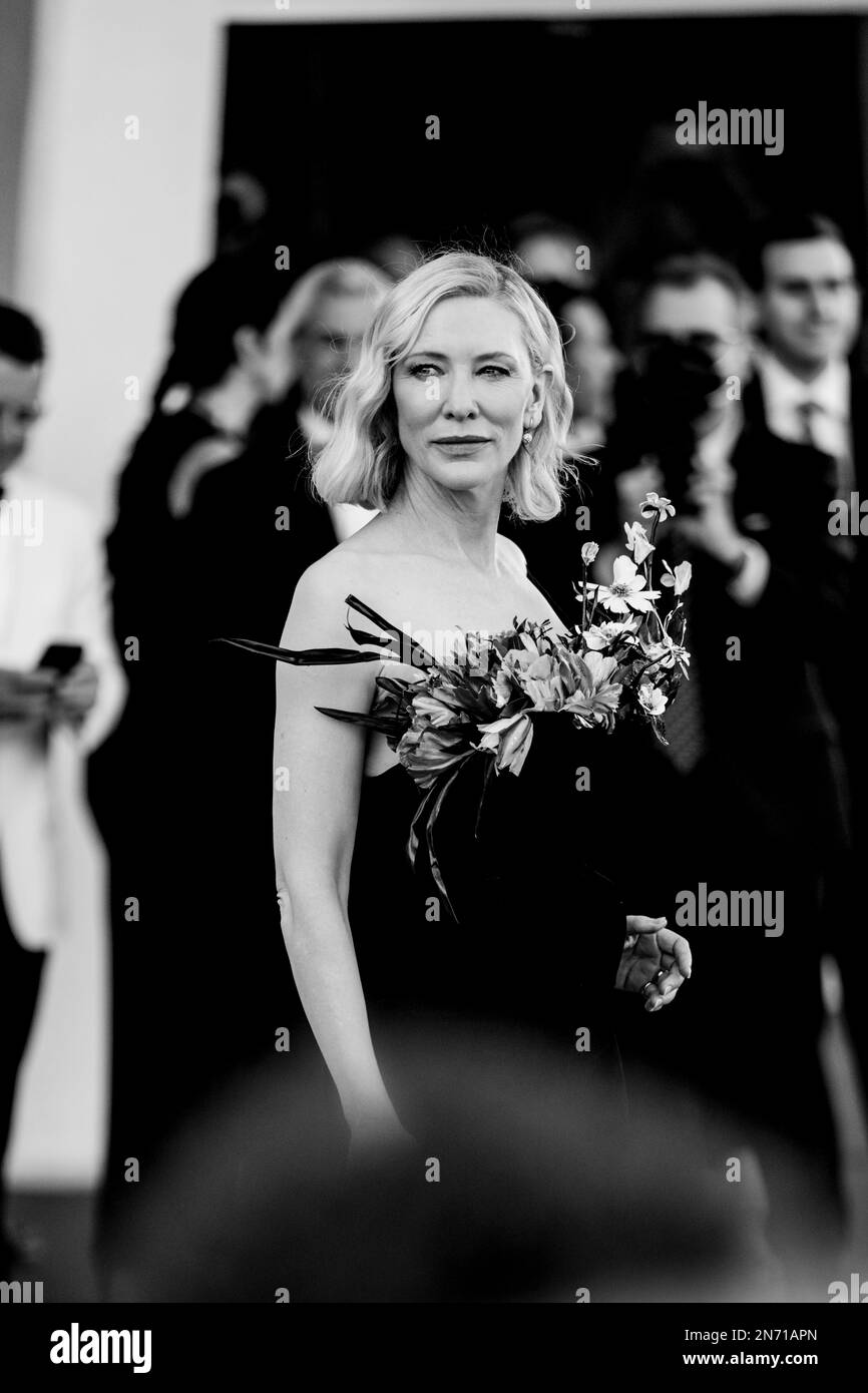 La Biennale di Venezia 2022, il Cast di Tar sul Red carpet di Venezia79, Venezia, Italien Stockfoto