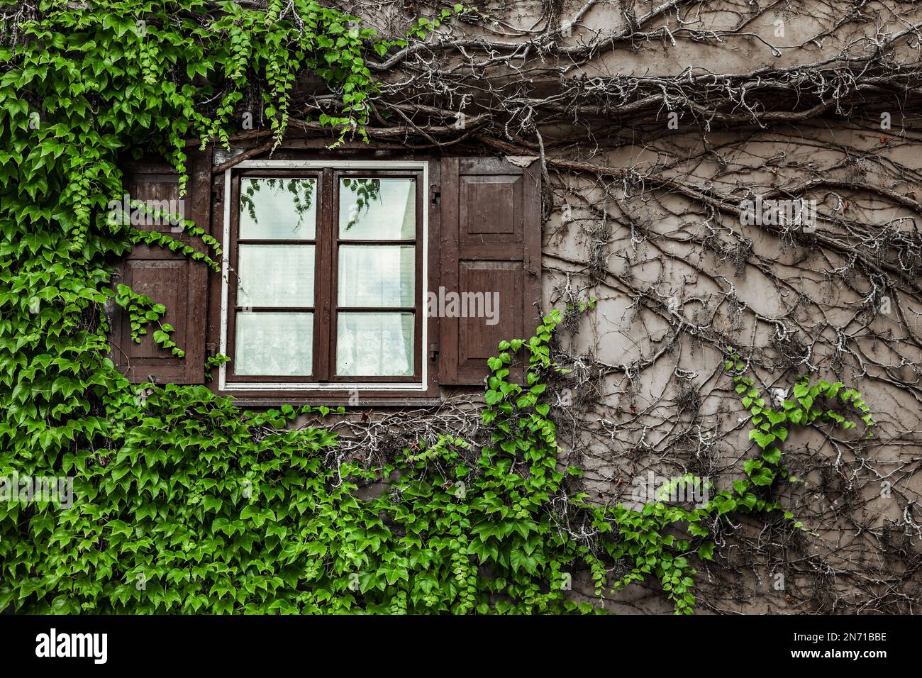 Halb eingewachsenes Fenster im alten Haus Stockfoto