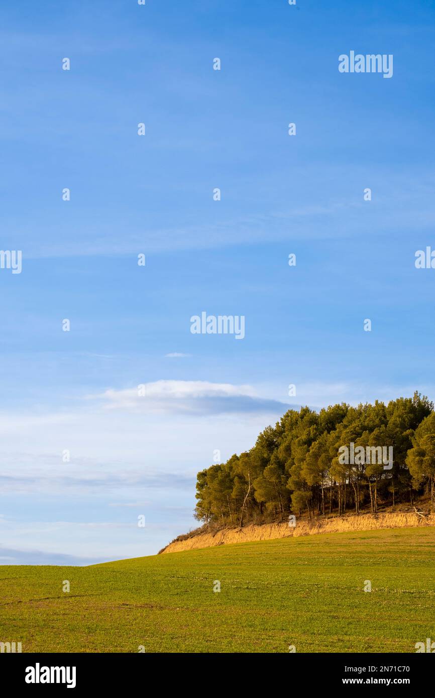 Landschaftsbau in der Provinz Lleida in Katalonien Spanien Stockfoto