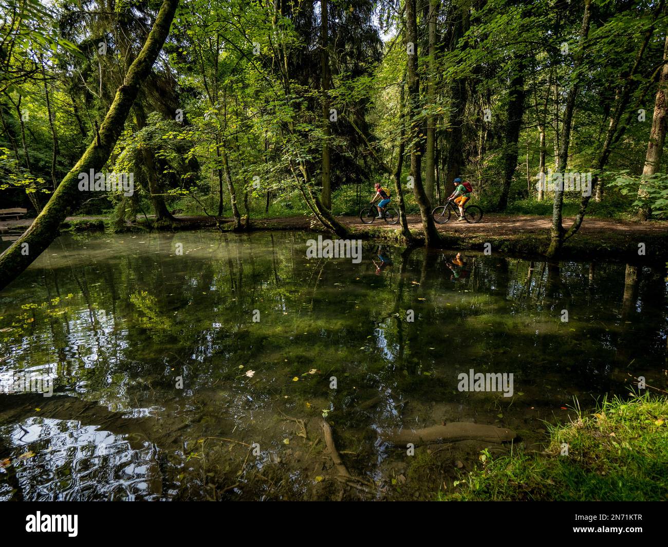 E-Mountain-Biker am Fuße des „Hunnerbuer“, einer Sandsteinformation, wo einige Quellen sofort gefangen werden und die Pools füttern. Der Hunnerbuer gehört zu den Sandsteinfelsen, die das ganze Land von Ost nach West durchqueren (einschließlich der Stadt Luxemburg). Der gesamte felsige Bereich ist auch ein wichtiger Frühlingsbereich. Viele Quellen werden gesammelt und versorgen das Trinkwassernetz Luxemburgs. Stockfoto