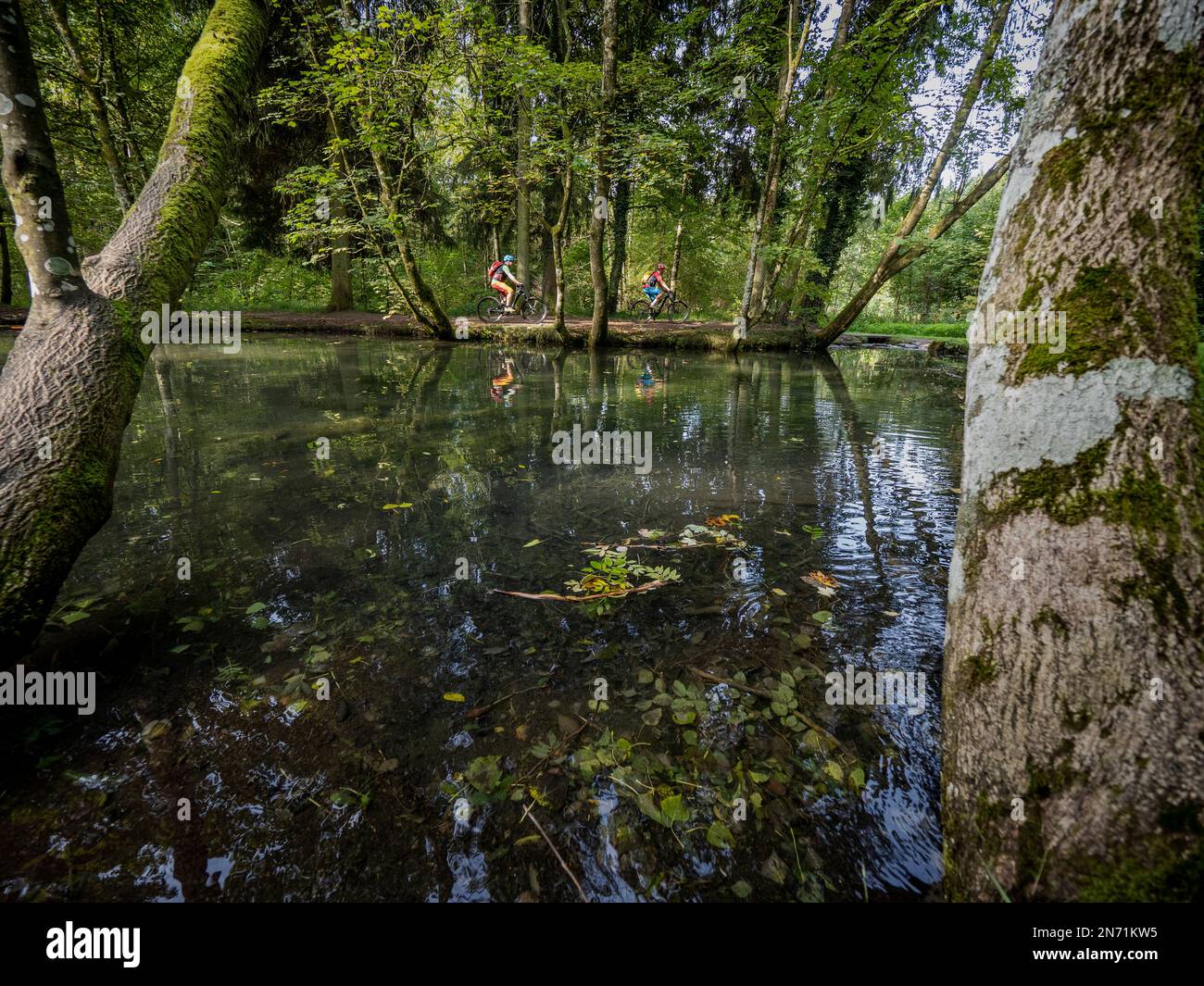 E-Mountain-Biker am Fuße des „Hunnerbuer“, einer Sandsteinformation, wo einige Quellen sofort gefangen werden und die Pools füttern. Der Hunnerbuer gehört zu den Sandsteinfelsen, die das ganze Land von Ost nach West durchqueren (einschließlich der Stadt Luxemburg). Der gesamte felsige Bereich ist auch ein wichtiger Frühlingsbereich. Viele Quellen werden gesammelt und versorgen das Trinkwassernetz Luxemburgs. Stockfoto