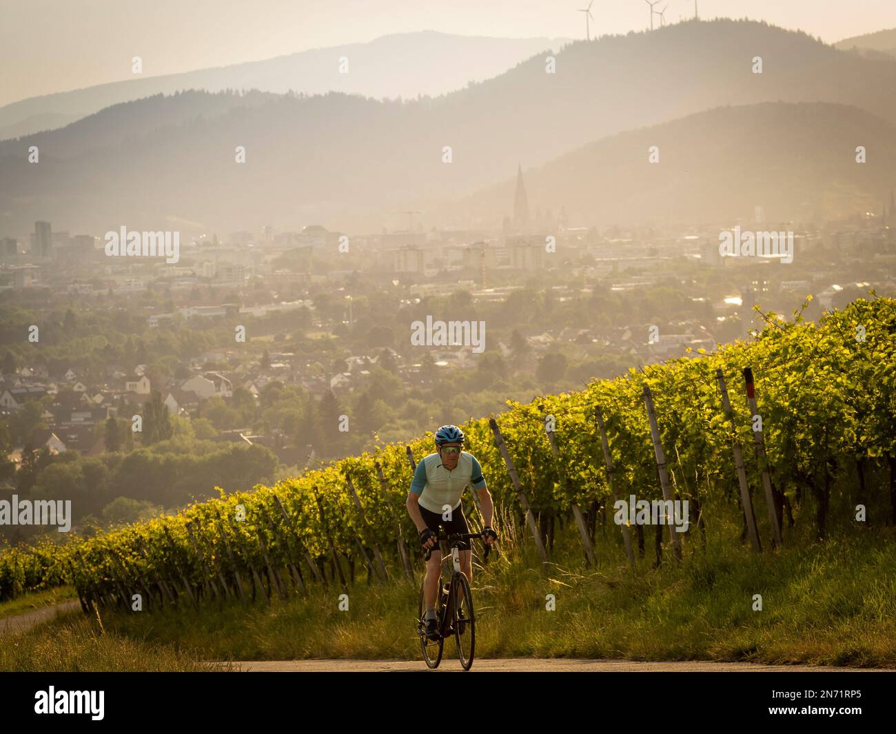 Straßenradfahrer in den Weinbergen bei Freiburg-St. Georgen. Im Hintergrund die Stadt Freiburg und die Gipfel des Schwarzwalds. Stockfoto