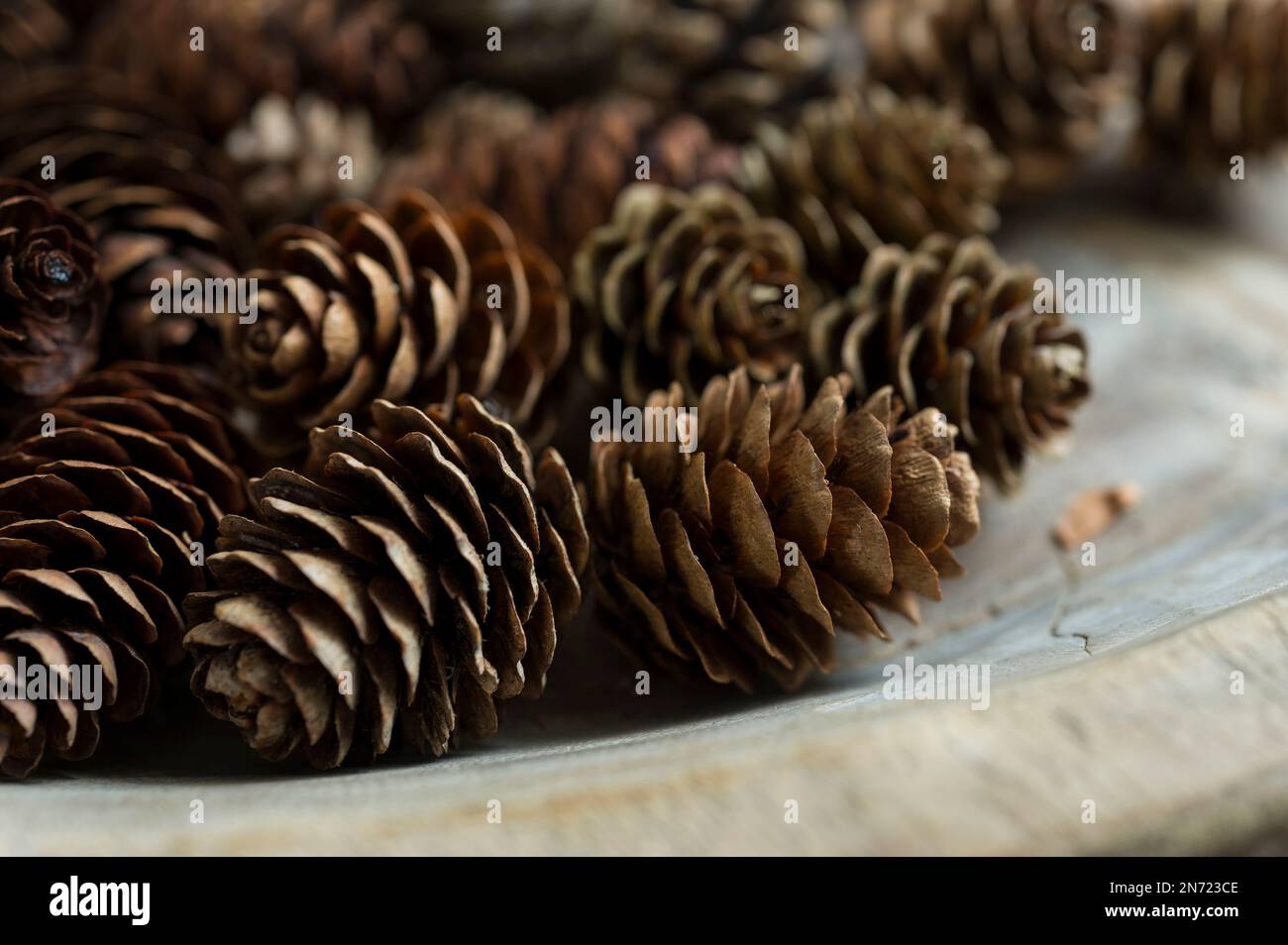 Lärchkegel in einer alten Holzschüssel, Dekoration mit natürlichen Materialien Stockfoto