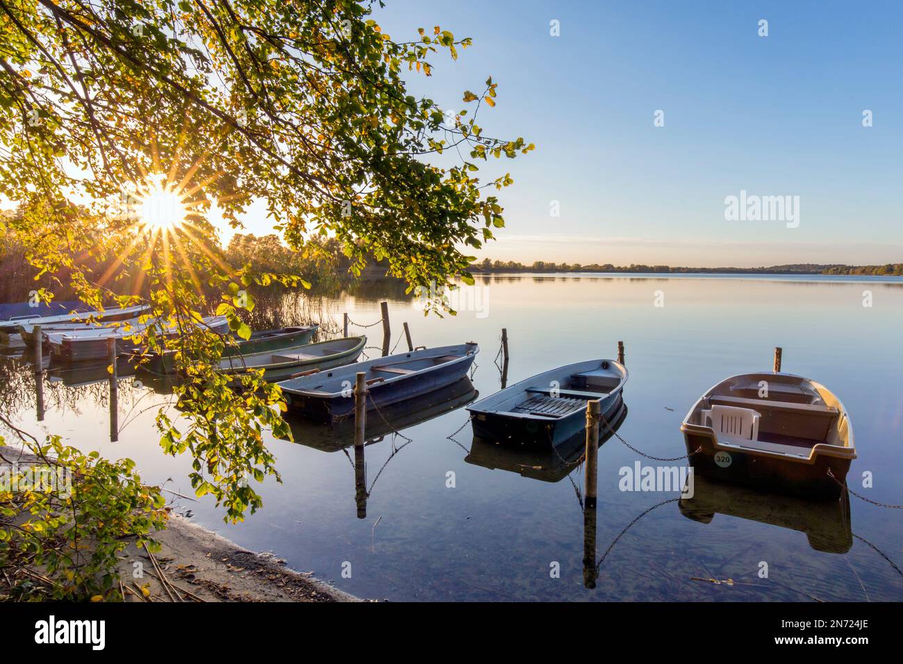 Ruderboote / Ruderboote am Ufer des Mechow-Sees / großer Mechowsee bei Sonnenuntergang bei Feldberg im Herbst / Herbst, Mecklenburg-Vorpommern, Deutschland Stockfoto