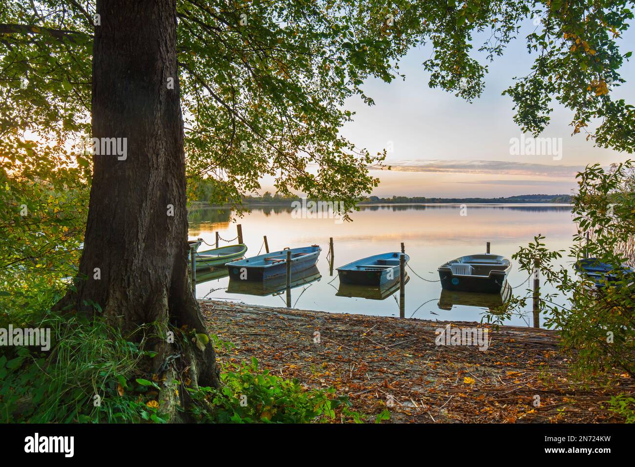 Ruderboote / Ruderboote am Ufer des Mechow-Sees / großer Mechowsee bei Sonnenuntergang bei Feldberg im Herbst / Herbst, Mecklenburg-Vorpommern, Deutschland Stockfoto