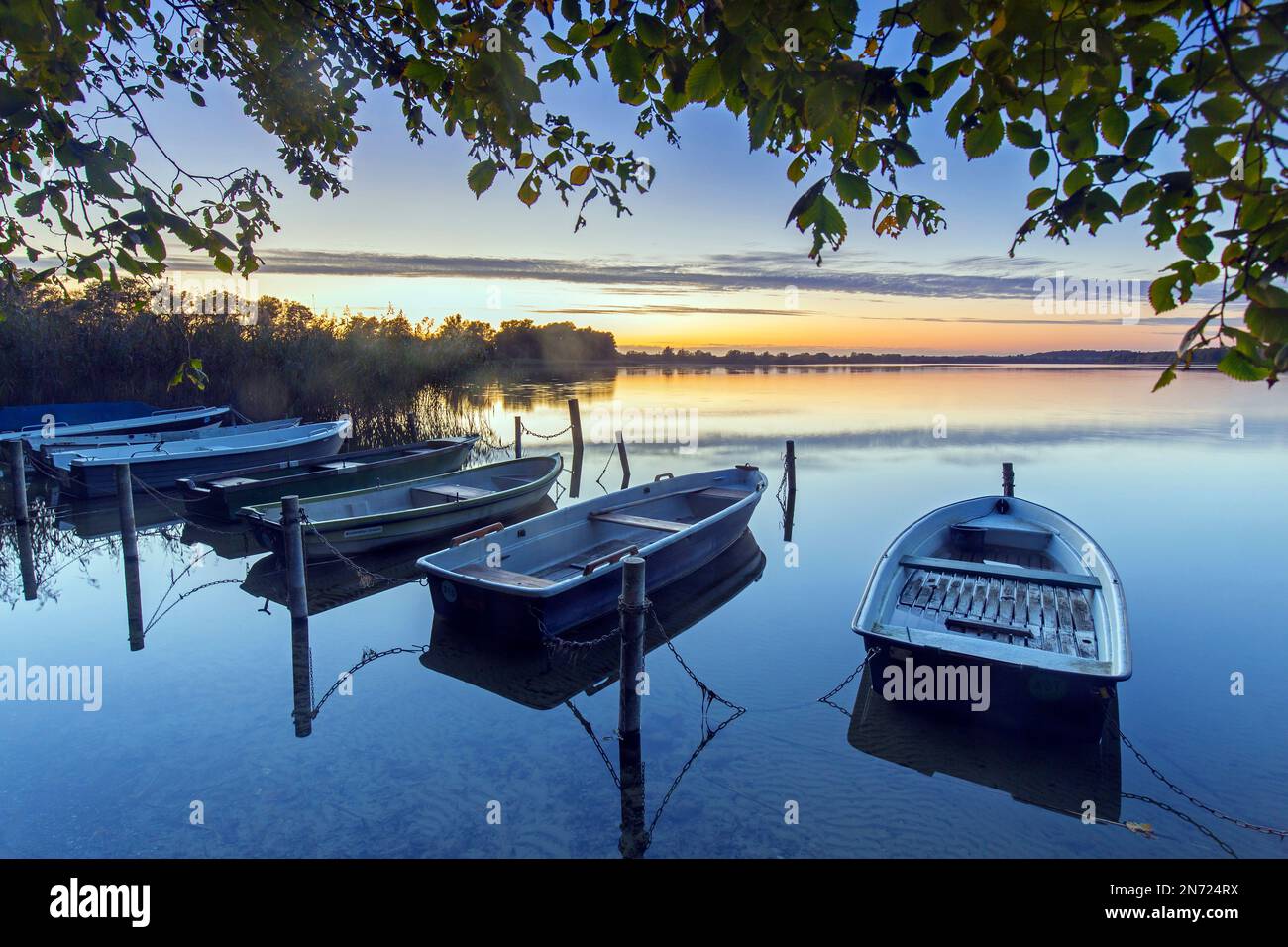 Ruderboote / Ruderboote am Ufer des Mechow-Sees / großer Mechowsee bei Sonnenuntergang bei Feldberg im Herbst / Herbst, Mecklenburg-Vorpommern, Deutschland Stockfoto