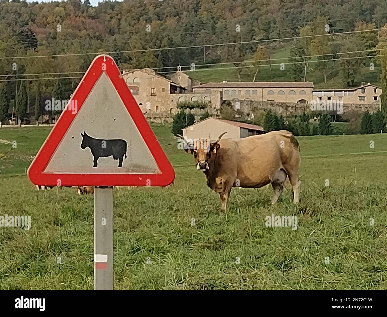 KUH-ZEICHEN Stockfoto