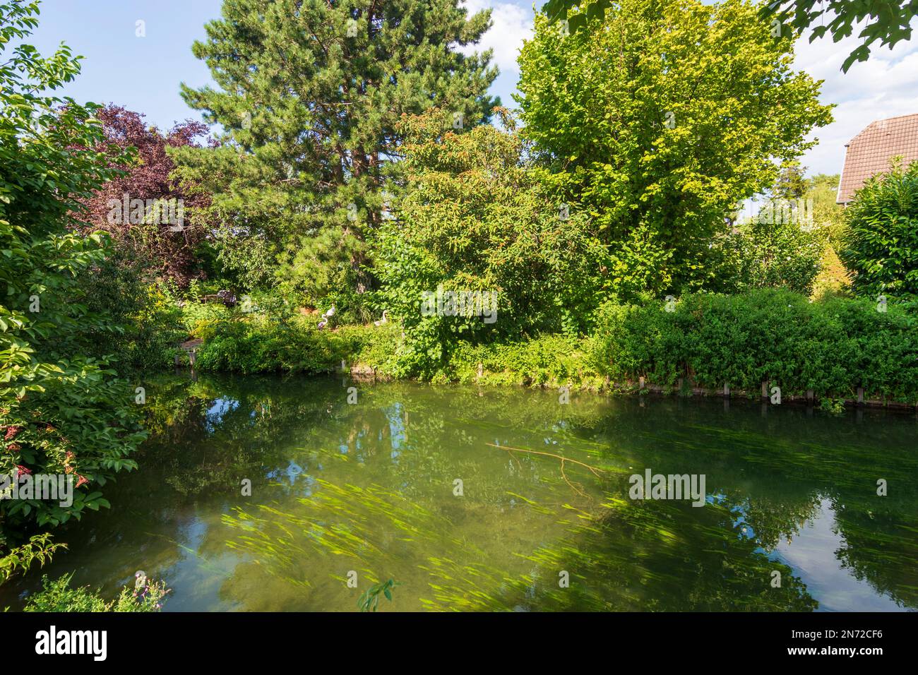 Ruelisheim (Rülisheim), Ill in Elsass, Haut-Rhin (Oberelsass), Frankreich Stockfoto