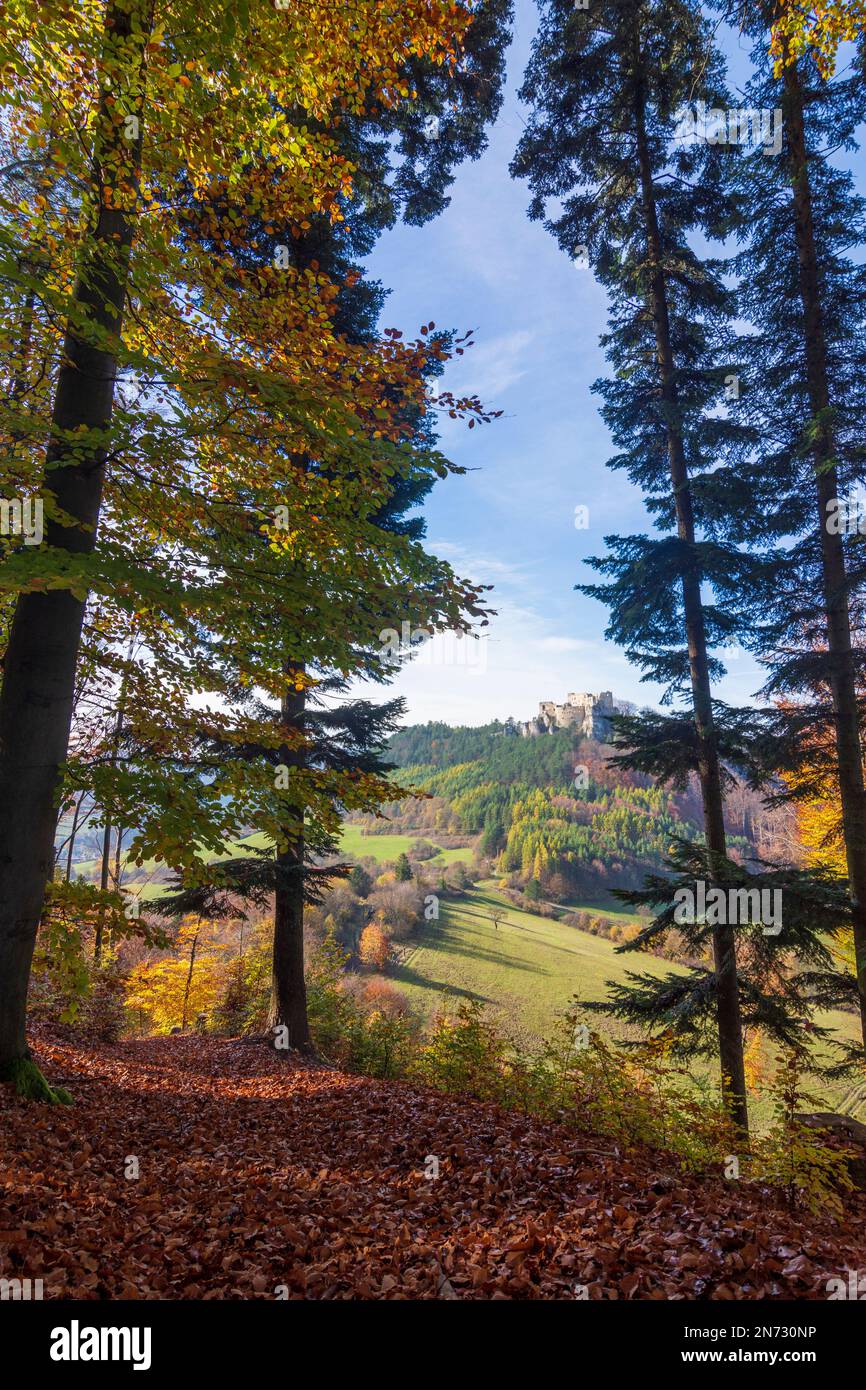 Schloss lietava lietavsky hrad in der slowakei Fotos und Bildmaterial
