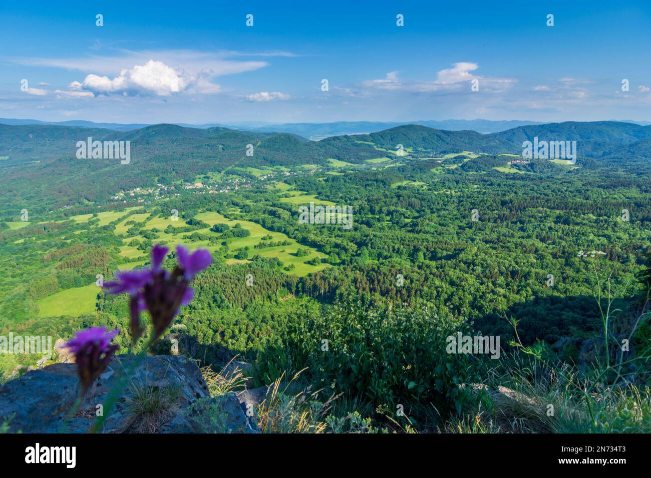 Vtacnik Mountains (Vogelgebirge), Gipfel Ve?ky Gric (Donnerstein, Groß Kritz), Blick auf das Handlova-Tal (Hornonitrianska kotlina, Oberneutraer Kessel) in der Slowakei Stockfoto