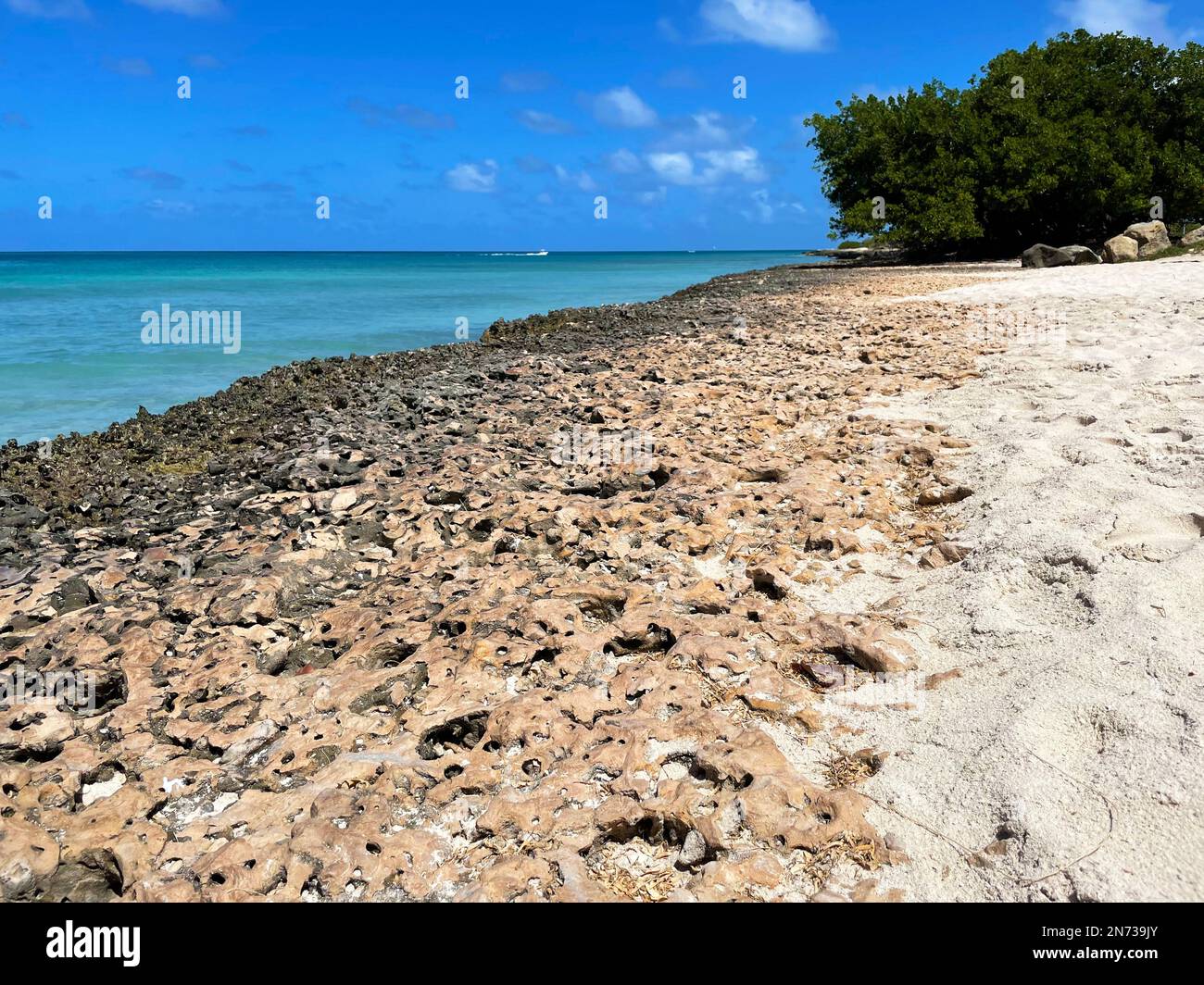 Vulkangestein entlang der Küste, Eagle Beach, Aruba Stockfoto
