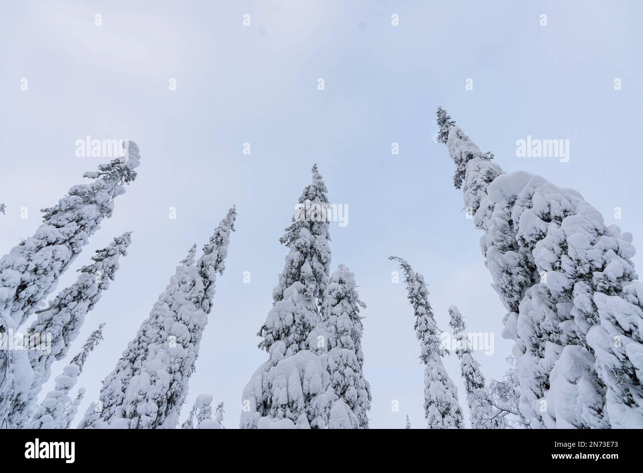 Lappland, Januar 2023 Winterlandschaft Lapplands bei Kuusamo