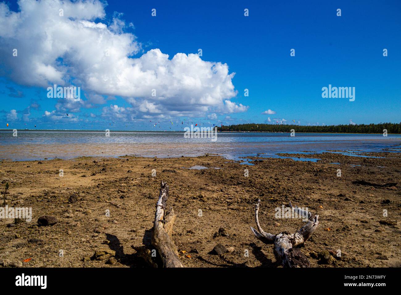 Strand und Meer und Himmel mit einer großen Wolke und einige Kitesurfer im Hintergrund auf Mauritius Island, Afrika Stockfoto
