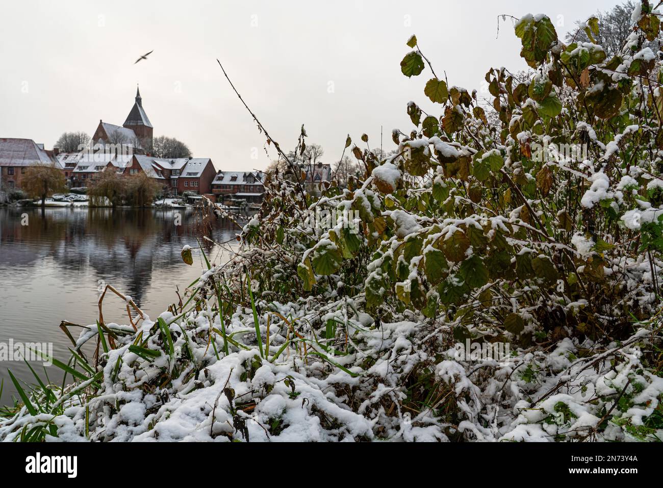 Wintereindruck, Möllner Schulsee und Nikolai Kirche Stockfoto