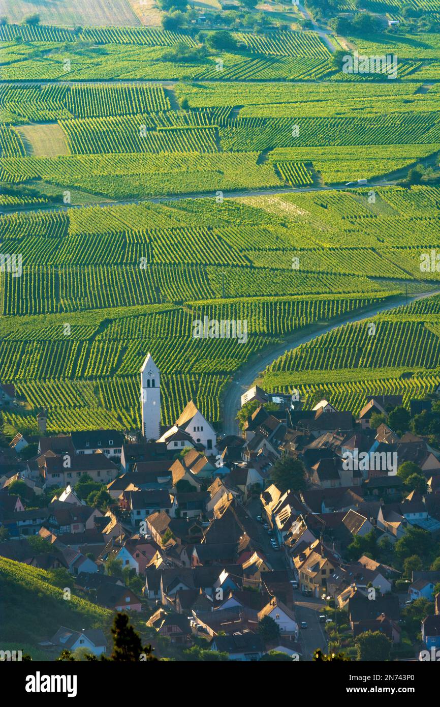 Katzenthal katzental Fotos und Bildmaterial in hoher Auflösung Alamy