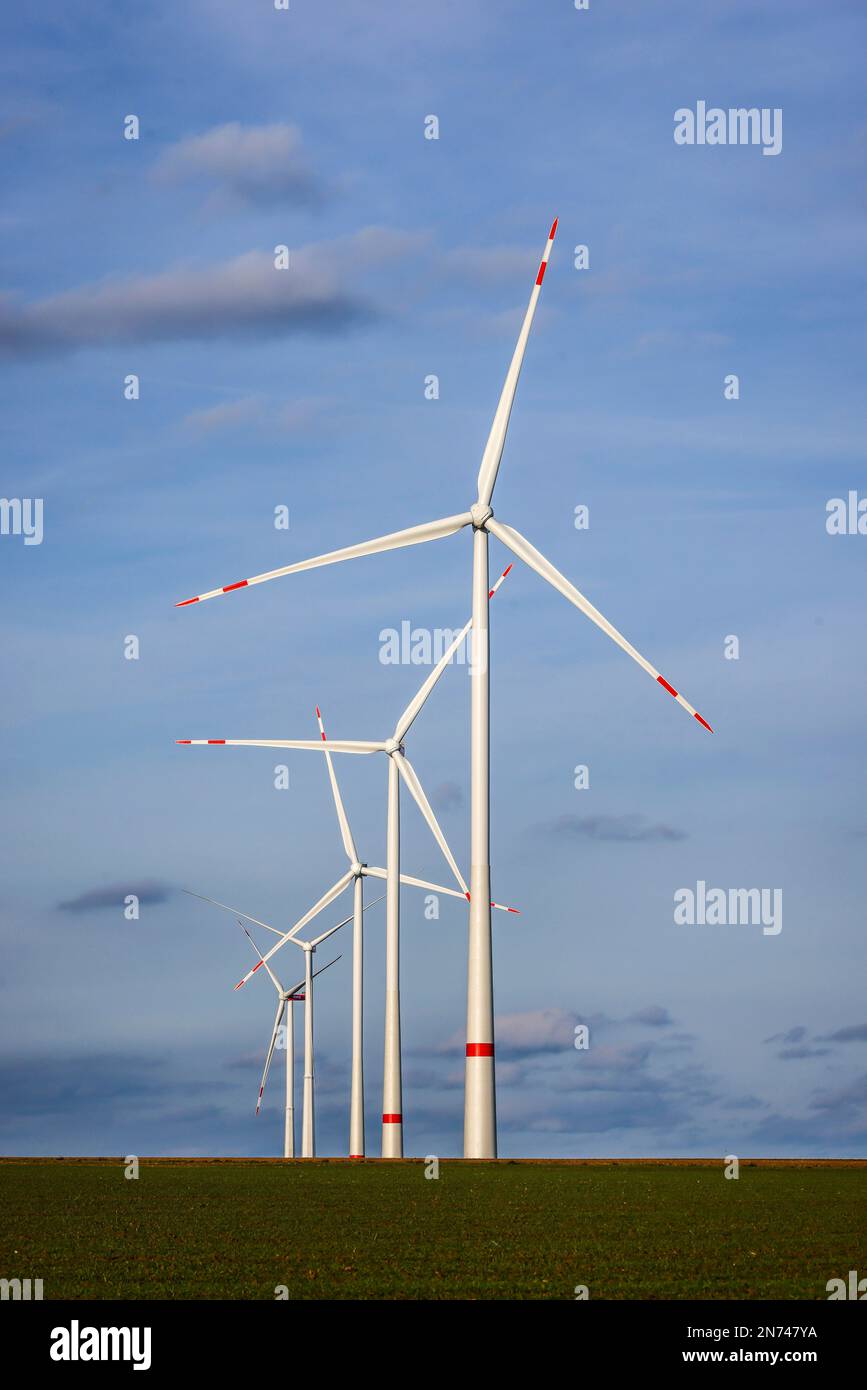 Bedburg, Nordrhein-Westfalen, Deutschland - RWE Windpark, RWE Windraeder am RWE Braunkohletagebau Garzweiler. Stockfoto