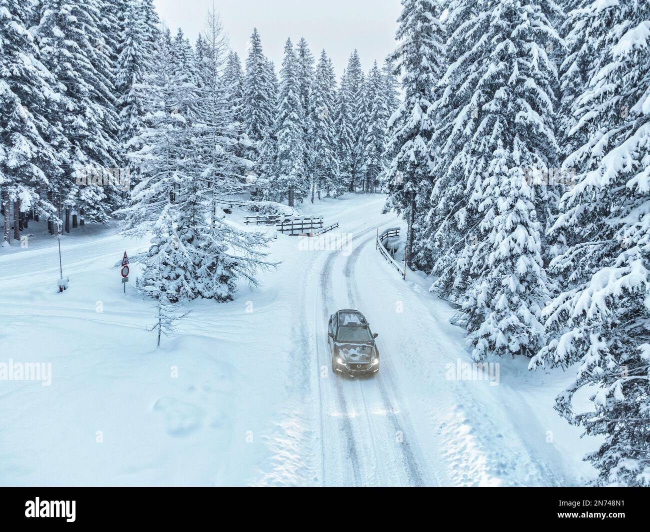 Italien, Venetien, Belluno, Crossover-Auto im Winter auf einer verschneiten Straße durch einen Tannenwald, Dolomiten Stockfoto