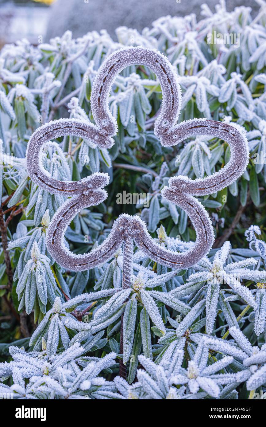 Wintergartendekoration, Heiserfrost, Frostbedeckung, metallische blumenförmige Gartendübel Stockfoto
