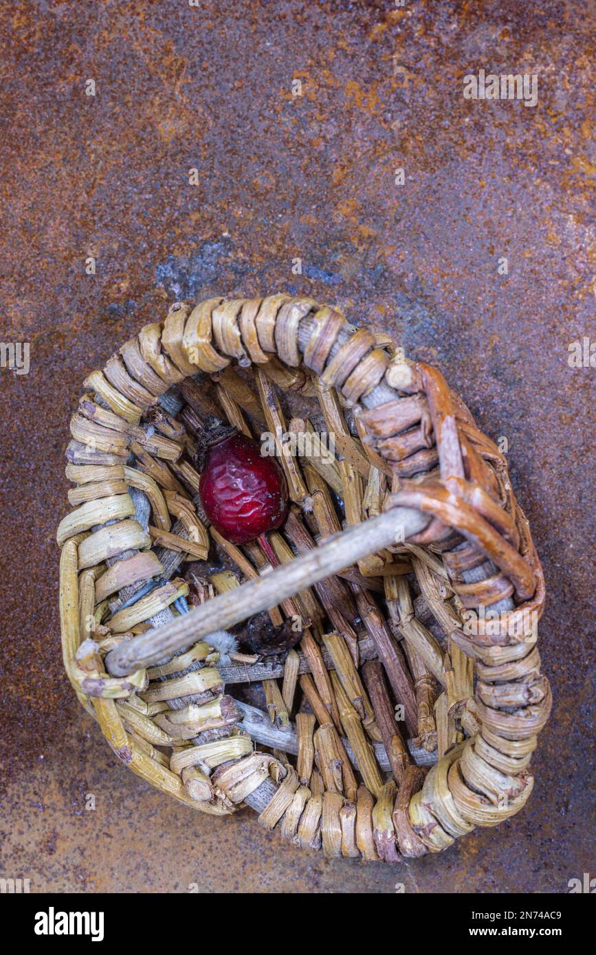Korb aus Korb mit Rosenhüften auf Metallhintergrund Stockfoto