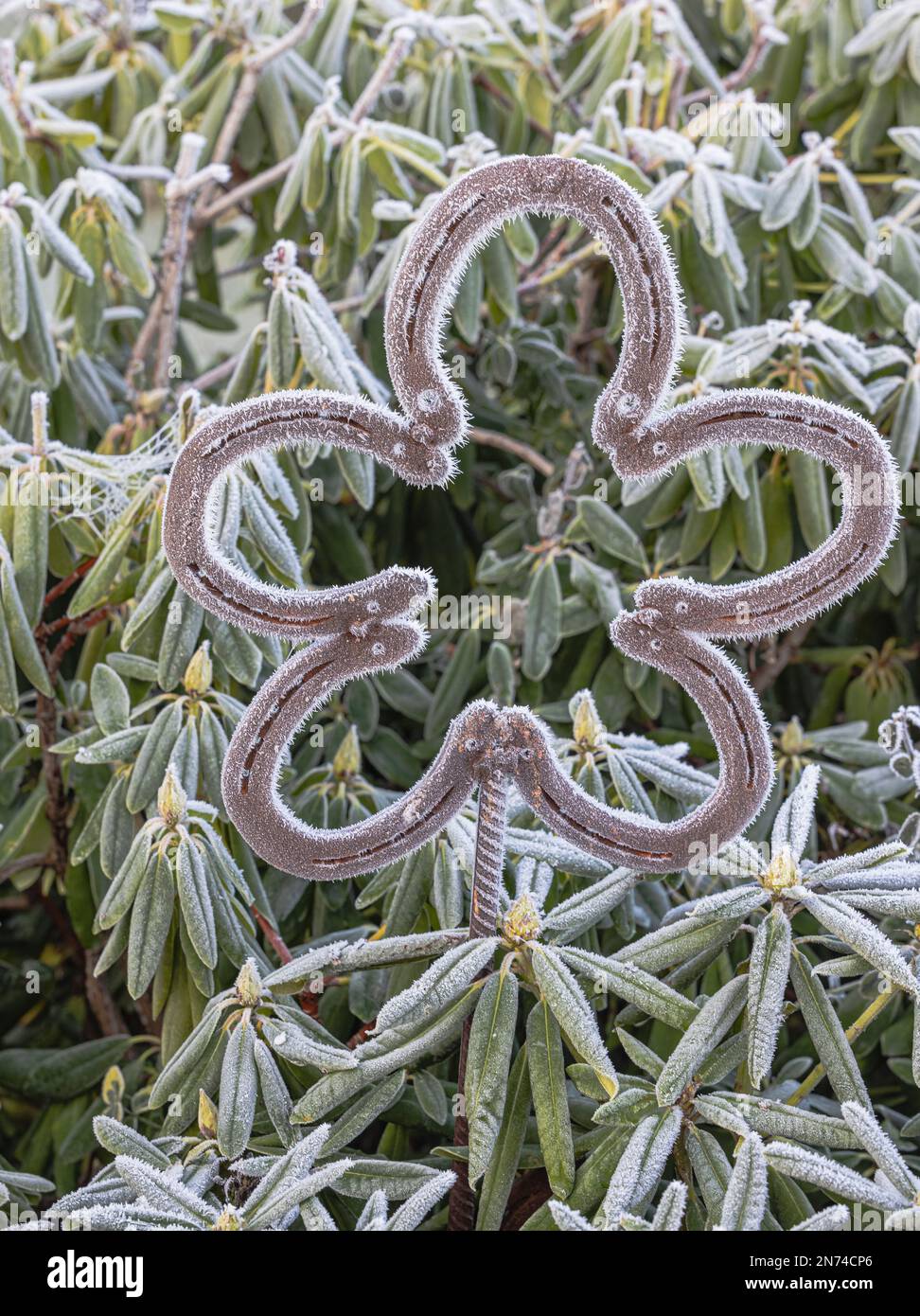 Wintergartendekoration, Heiserfrost, Frostbedeckung, metallische blumenförmige Gartendübel Stockfoto