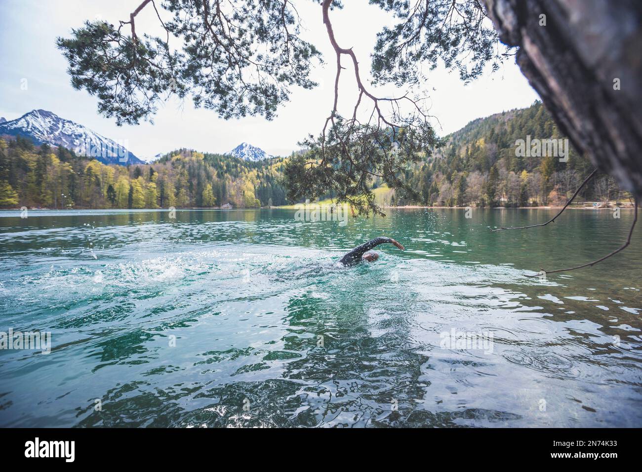 Professioneller Triathlet Schwimmen, Training in einem klaren Bergsee in Allgäu, Alatsee, Bayern, Deutschland Stockfoto