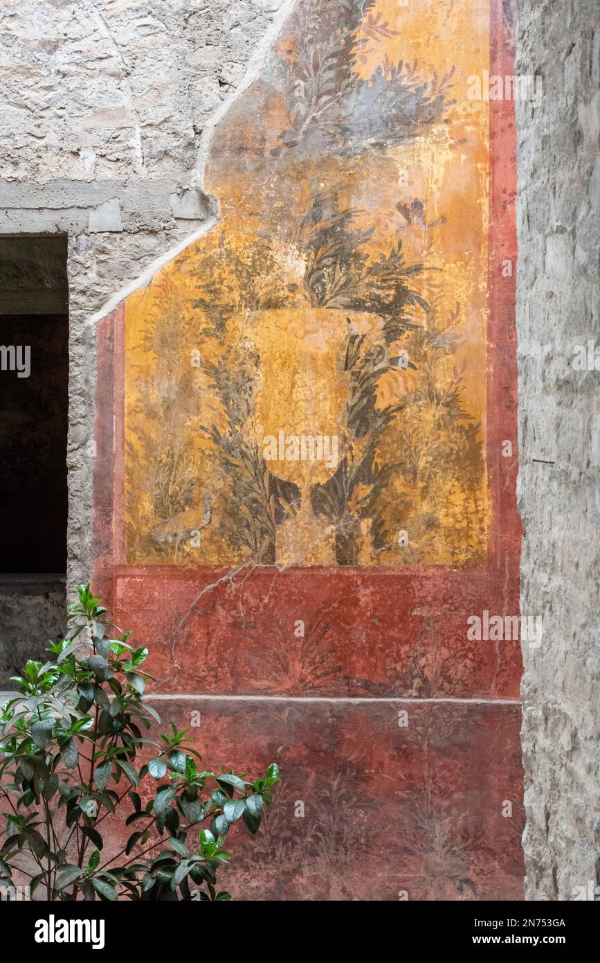 Oplontis, Italien, malerische Fresken an der Wand der berühmten Villa Oplontis, antike römische Villa und Weltkulturerbe, Süditalien Stockfoto