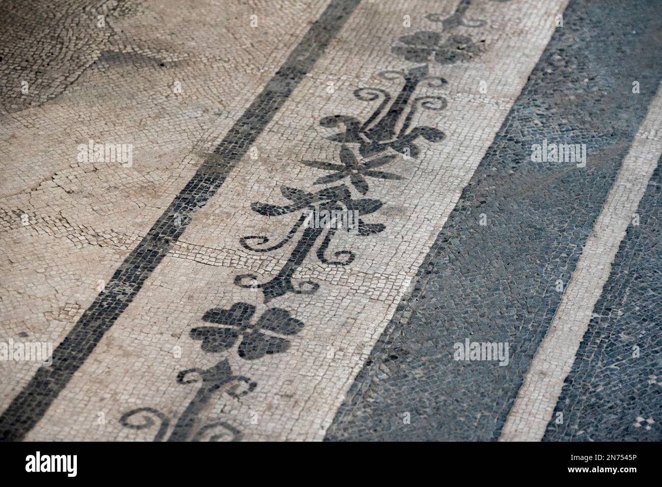 Oplontis, Italien, antike Fußbodendekoration in der ausgegrabenen römischen Villa von Oplontis, Italien Stockfoto