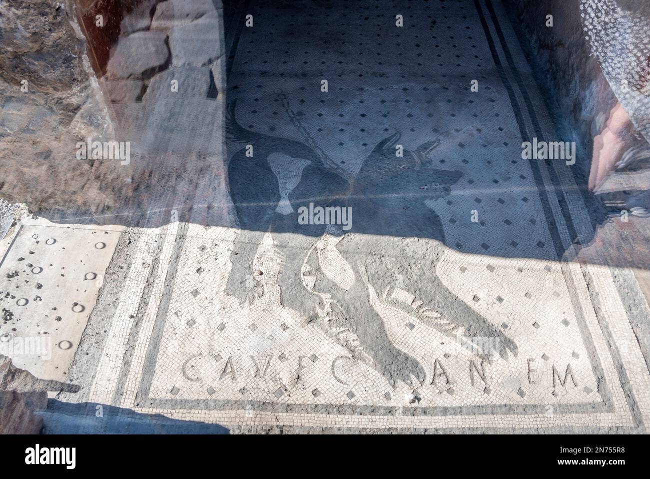 Berühmtes Bodenmosaik eines Hundes und die Zitation Cave Canem in Pompeji, Süditalien Stockfoto
