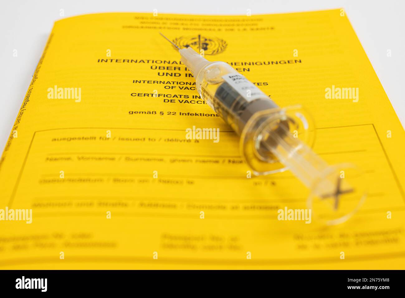Neue Impfkarte, internationale Impfzertifikate, Injektionsspritze, Grippeimpfungen, Grippeimpfungen, Details, Weißer Hintergrund, Stockfoto