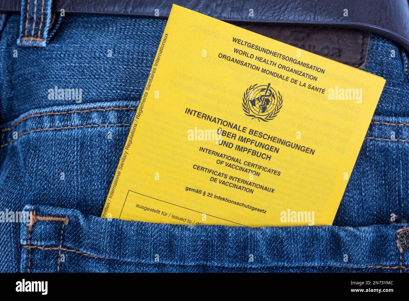 Internationale Impfkarte in Jeans Hosentasche, Detail, Stockfoto