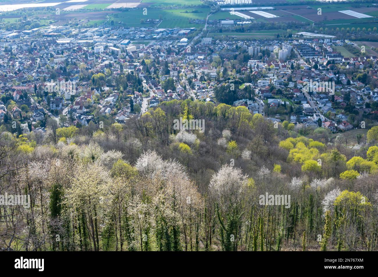 Deutschland, Hessen, Südhessen Bergstraße, Bensheim-Auerbach, Schloss Auerbach, Blick vom Schloss Stockfoto