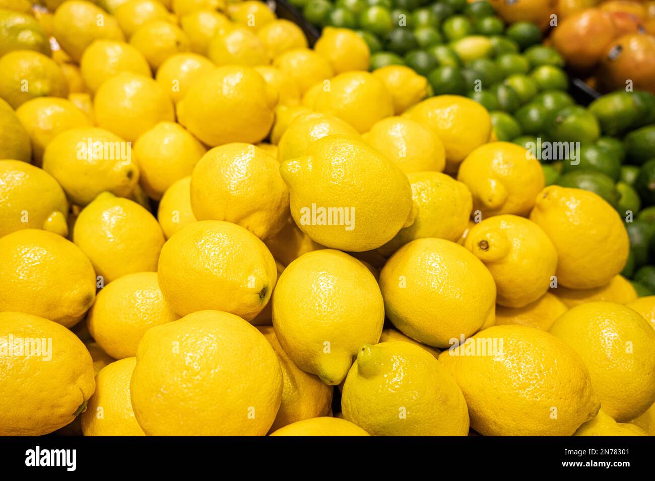 Frische Zitronen und Limetten im Publix Super Market in Lilburn, Georgia. (USA) Stockfoto
