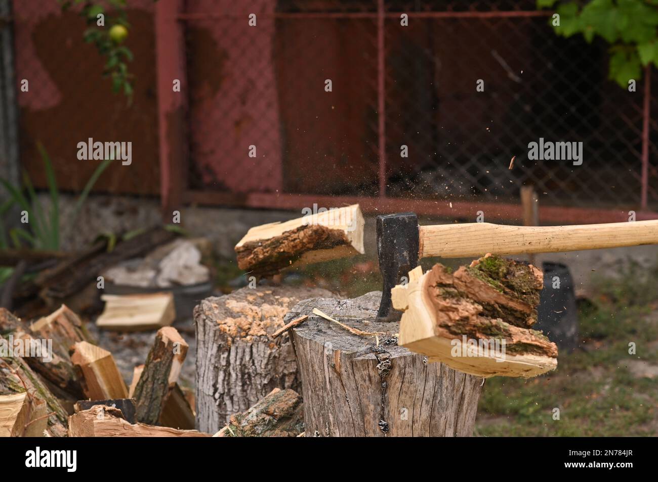 Die Axt des Holzfällers spaltete den Baumstamm. Teile des Stamms mit Spänen und Sägemehl fliegen in verschiedene Richtungen. Stockfoto