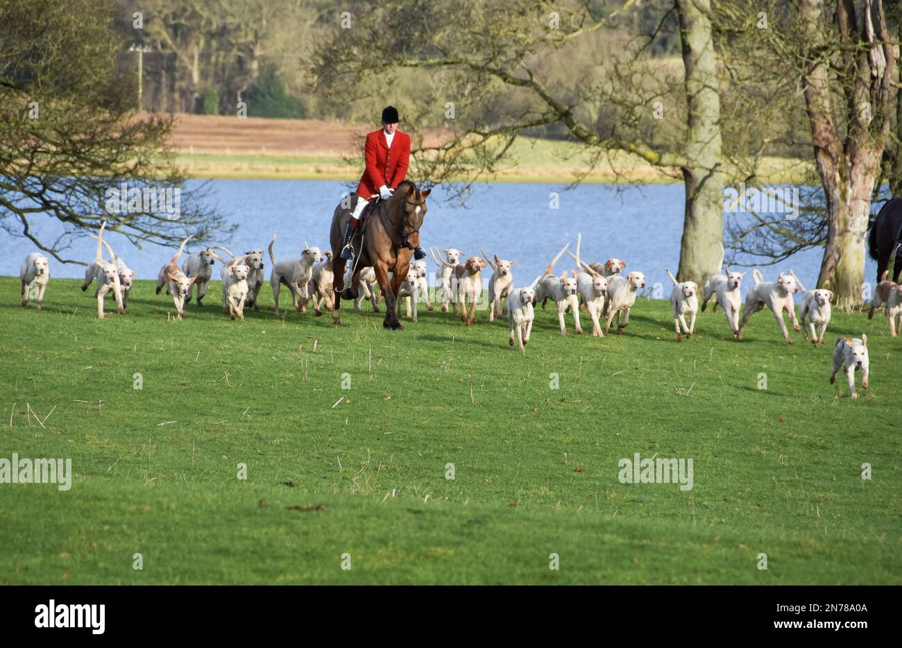 Staffordshire, Großbritannien. Dezember 2017. Jäger, die am zweiten Weihnachtsfeiertag sein Horn blähen – eine britische Tradition Stockfoto