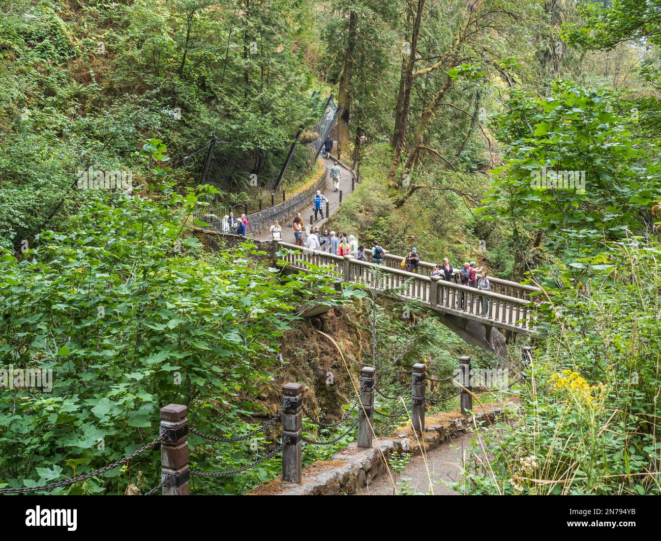 Besucher auf der Benson Bridge, Multnomah Falls, Columbia River Gorge National Scenic Area, Oregon. Stockfoto