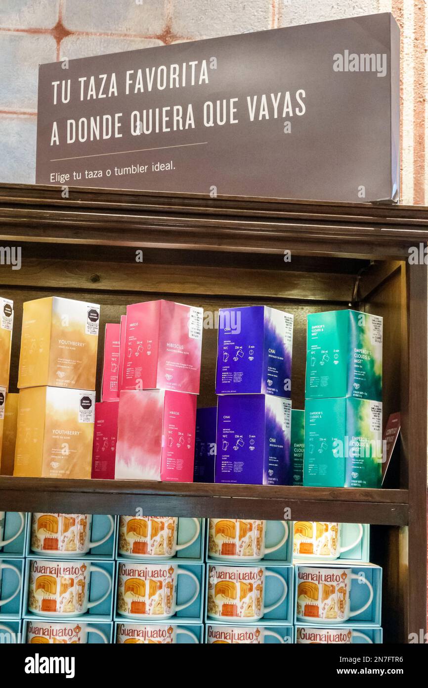 San Miguel de Allende Guanajuato Mexiko, historisches Zentrum von Historico Central Zona Centro, Starbucks Kaffee, Tasse, Lieblingsbecher Marketing, im Inneren des indo Stockfoto