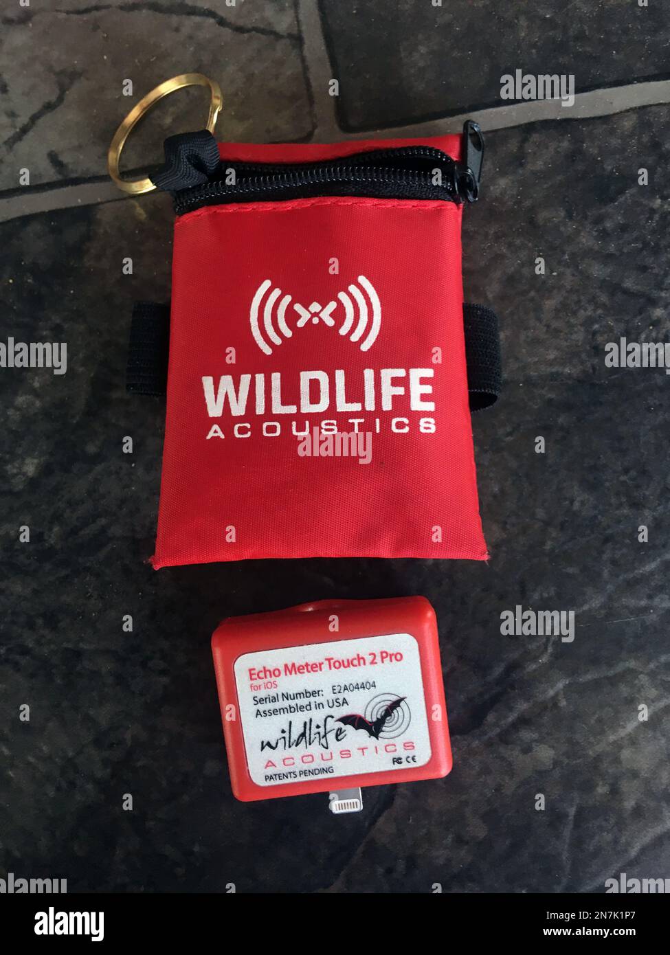 Ultraschalldetektor für Fledermausrufe, der an ein iPhone, Gerät von Wildlife Acoustics, angeschlossen werden kann. Keine PR Stockfoto