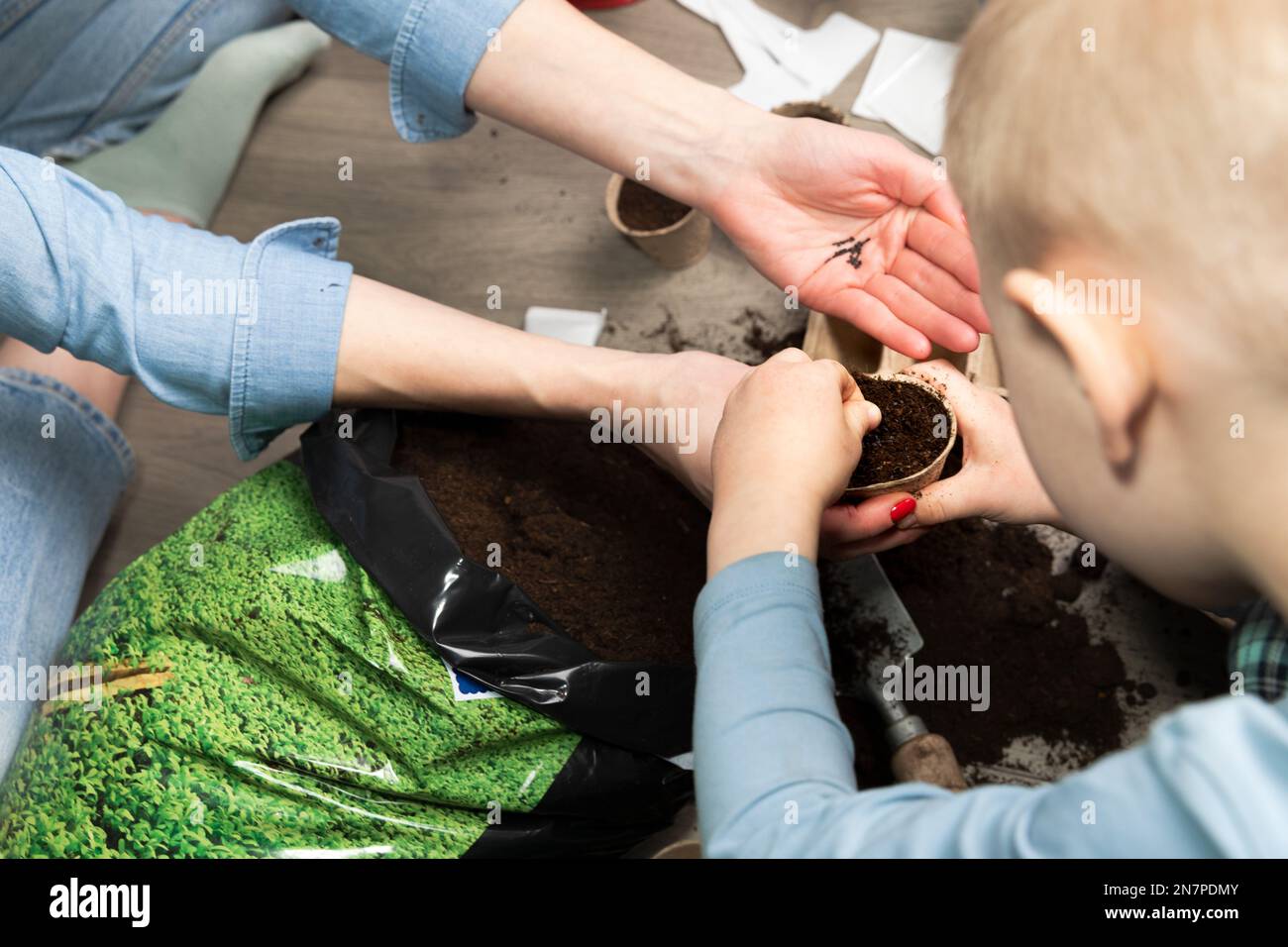 Mutter und Kind, die zu Hause Samen in fruchtbarer schwarzer Erde Pflanzen. Im Hintergrund frisch angebaute Sprossen. Frühlings- und Gartenkonzept. Stockfoto