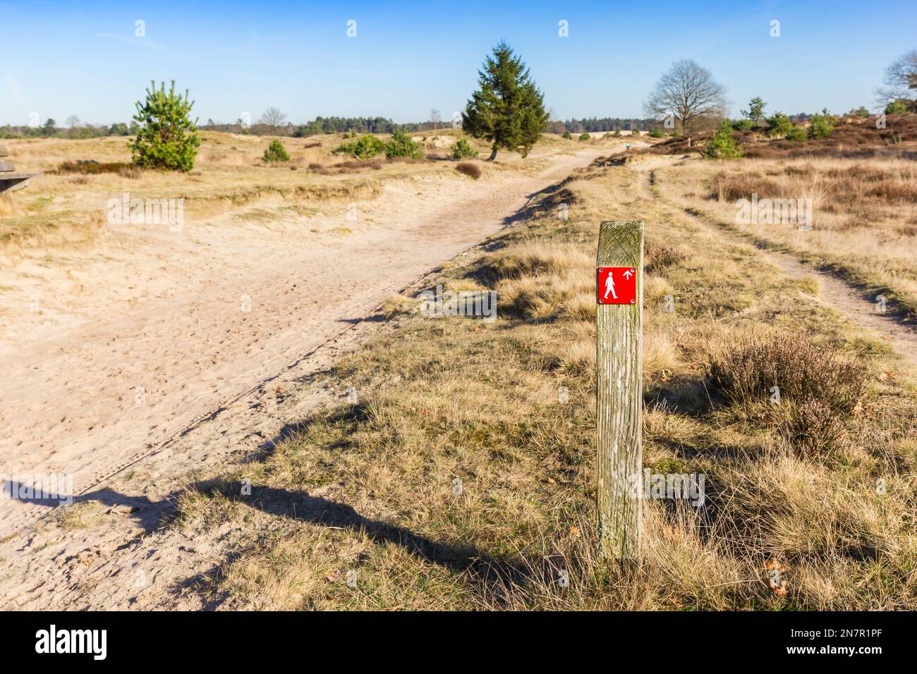 Rotes Schild mit Hinweis auf die Fußrichtung im Drents Friese Wold National Park, Niederlande Stockfoto