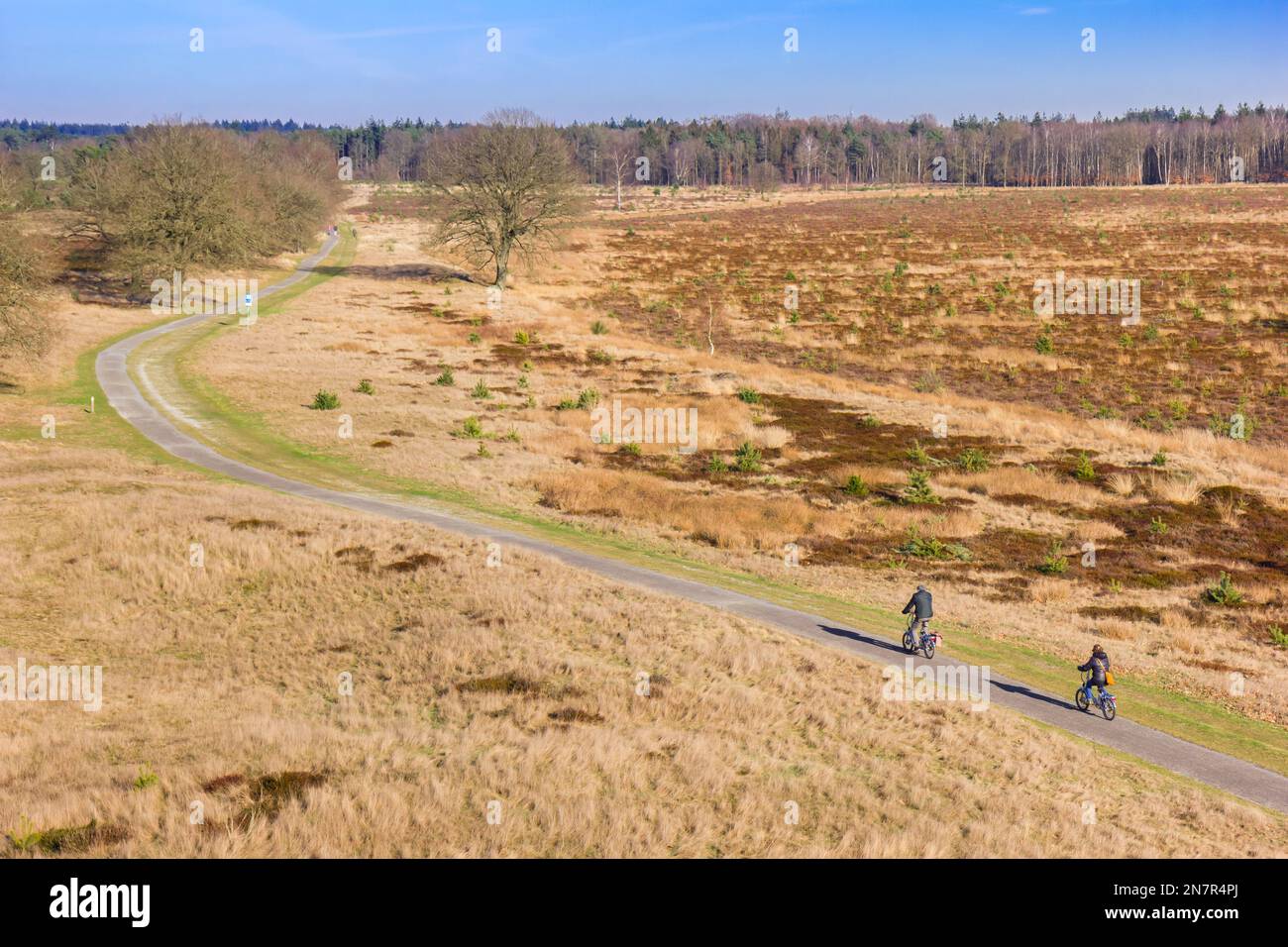 Ein Paar fährt mit dem Fahrrad durch die Heidenfelder von Drents Friese Wold, Niederlande Stockfoto