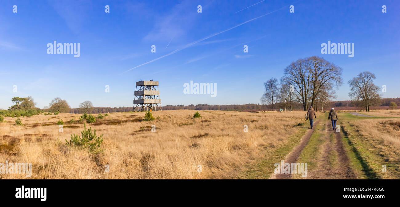 Ein Paar, das auf den Heidefeldern von Drents Friese Wold, Niederlande, spaziert Stockfoto