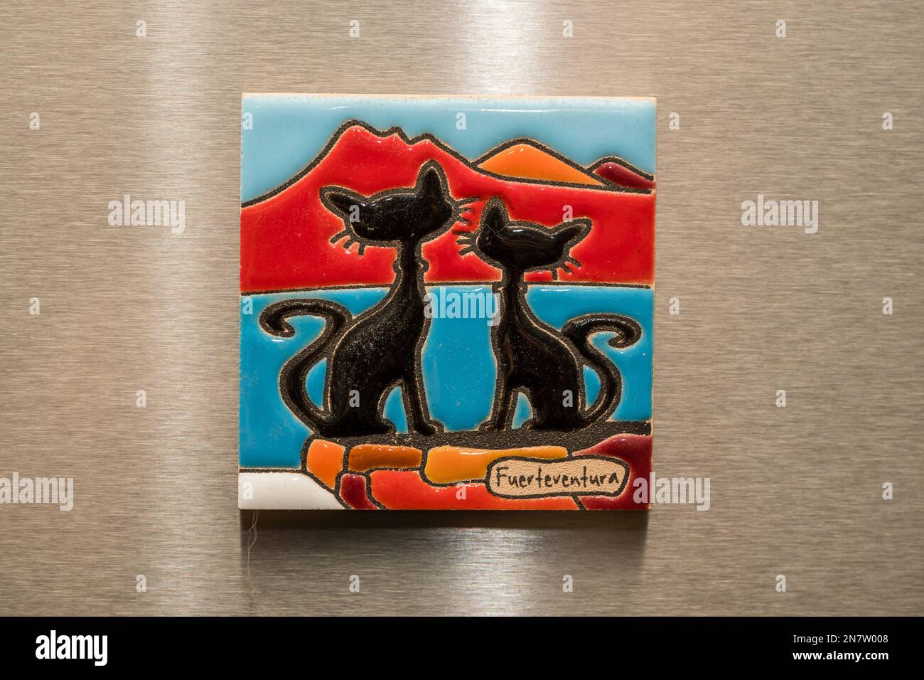 fuerteventura Kühlschrankmagnet mit zwei Katzen, Kühlschrankmagnet, silberner Kühlschrank, Aluminiumkühlschrank Stockfoto