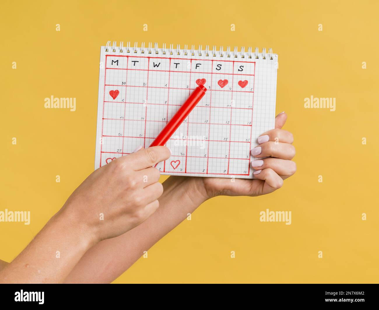 Hände halten roten Stift Kalender Vorderansicht Stockfoto