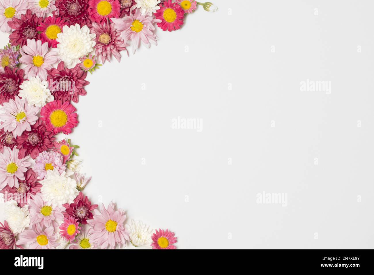 Komposition wundervolle bunte Blüten Stockfoto