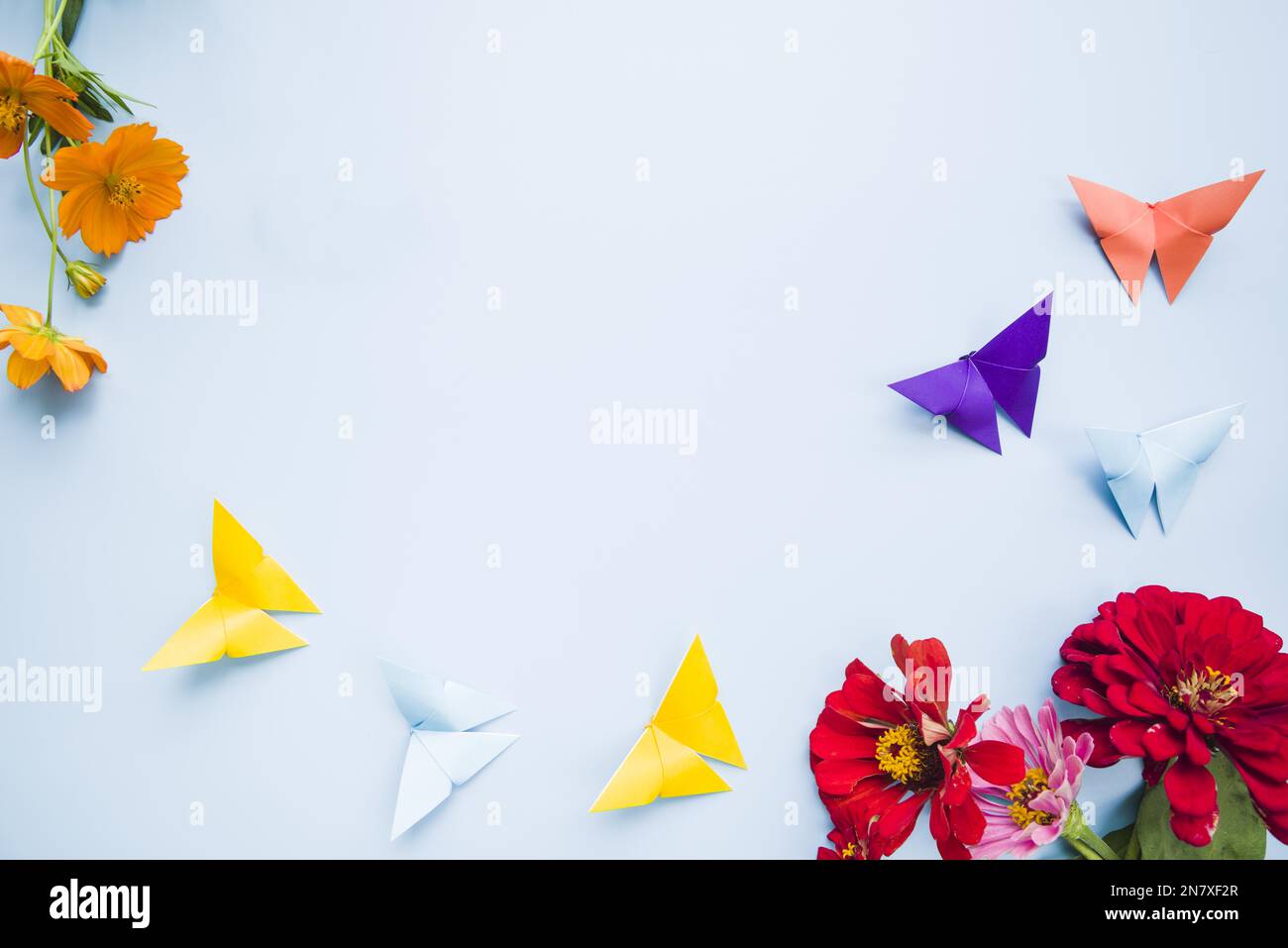 Dekoration mit Calendula-Blüten, Marigold-Blüten, Origami-Papier, Schmetterlinge, blauer Hintergrund Stockfoto