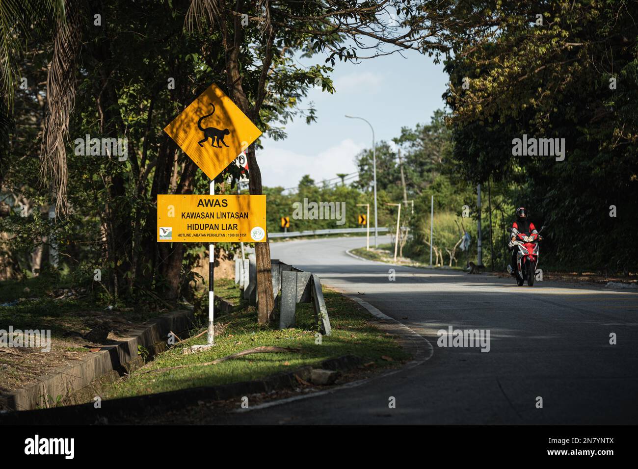 Ein Schild mit "Achtung Affen auf der Straße" in Langkawi Stockfoto