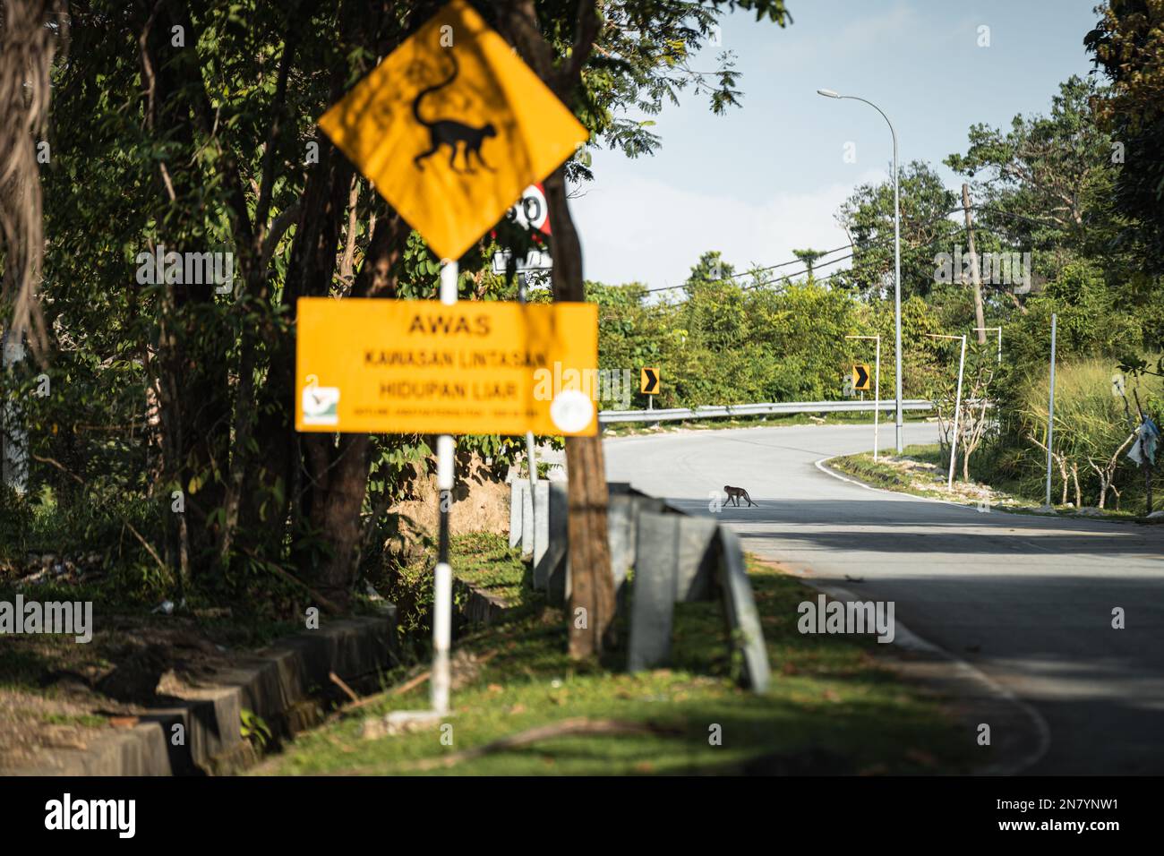 Ein Schild mit "Achtung Affen auf der Straße" in Langkawi Stockfoto